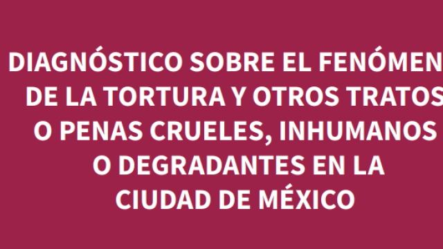 Diagnóstico sobre el Fenómeno de la Tortura
