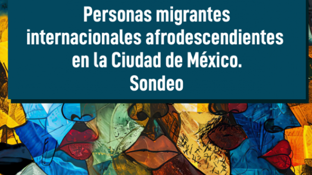 Personas migrantes internacionales afrodescendientes en la CDMX. Sondeo